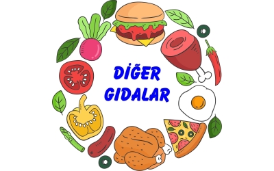 DİĞER GIDALAR