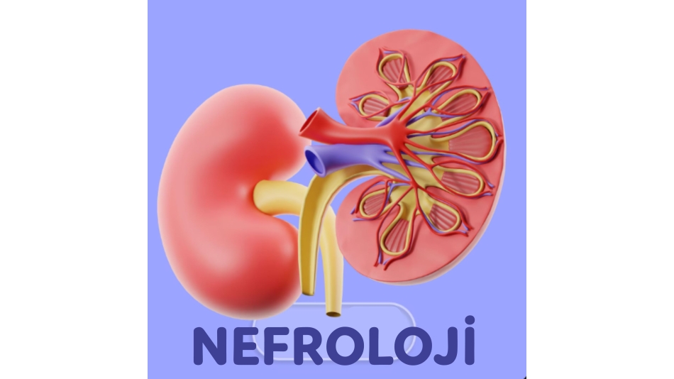 NEFROLOJİ
