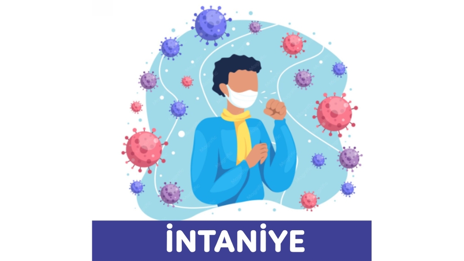 İNTANİYE