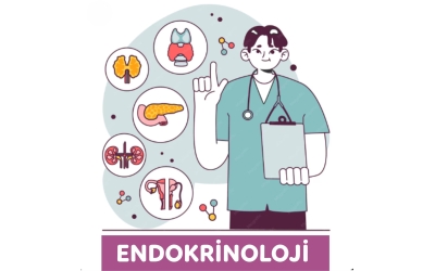 ENDOKRİNOLOJİ