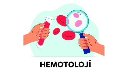 HEMOTOLOJİ