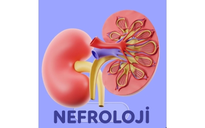 NEFROLOJİ