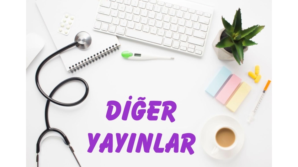DİĞER YAYINLAR